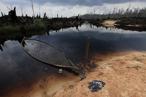 Burnt peatland